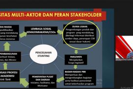 Reportase Webinar: Kemitraan Multisektoral untuk Penurunan Stunting di Indonesia