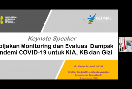 Reportase Forum Nasional X Jaringan Kebijakan Kesehatan Indonesia Topik 2: Dukungan Dashboard Sistem Kesehatan (DaSK) dan Penggunaan Data Rutin dalam Memperkuat Sistem Kesehatan Era Pandemi COVID-19 untuk kebijakan KIA