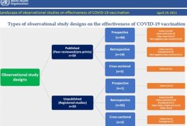 Draft Lanskap Studi Observasional Efektivitas Vaksin COVID-19